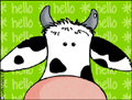 hello cow, bovine, farm, farmyard, barn, hi, nice to meet you, close-up, macro, cute, sweet, meeting, met, friend, BFF, new friend