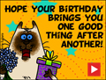happy birthday, animated, kitty, cat, presents