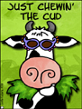 cud,chewing cud,cow,talk,conversation,chat,schmooz,