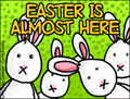 easter, bunny, bunnies, rabbit, easter countdown, holiday, spring, hoppy easter, happy easter