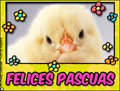 felices pascuas, polluelo, Conejo de Pascua , Huevo de Pascua