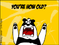 happy birthday, birthday wishes, animated, panda, omg, wtf, shocked, you're how old, getting older, funny,humorous,