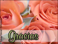 gracias,spanish,thanks,flower,thanks in spanish