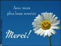 merci,sourire plus beau,fleur,daisy,thank you in french,french,smile,