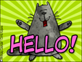 hi,hello,nice to meet you, whassup,kitty,how are you,new friend,friend,friendship,