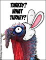 corrie kuipers,thanksgiving,happy turkey day,turkey,disguise,bunny ears,humorous thanksgiving card,funny,gobble,