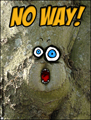 no way,tree,funny,monster,face,surprise,i don't believe it,dude!,