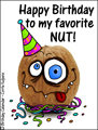 happy birthday, favorite nut,nutter,nutty,friend,crazy,walnut,face,funny,humor,humorous,