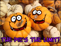 thanksgiving,pumpkin,pumpkin pie,pumpkin mania,funny,humor,humorous,