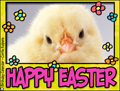 happy easter, chick, easter, spring, peeps,