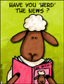 sheep,news,announcement,scoop,headliner,gossip,rumour,latest,headline,grapevine,