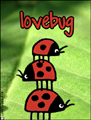 lovebug,ladybug,nature,sweet,cute,valentine,boyfriend,girlfriend,in love,lovers,i love you,