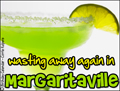 summer,vacation,margarita,margaritaville,cocktail,beach,jimmy buffet, drunk, tequila, lime, hangover, vodka, adult,