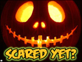 halloween, scared yet, jack o lantern, pumpkin,
