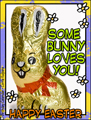 easter, bunny, chocolate, easter bunny, love,