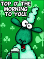 saint patrick's day, st. patrick's day, st. paddy's day, shamrock, green beer, sheep, green, top o' the morning to you,