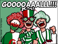2010 worldcup, FIFA, soccer, football, algeria, viva l'algerie, alz les verts