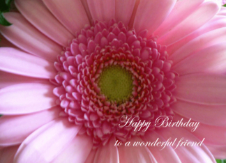 General card: Friend Birthday Pink Flower Card