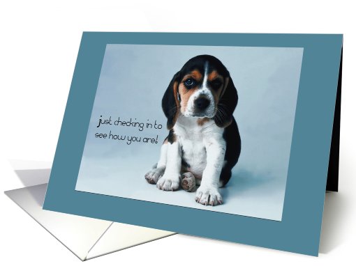 Just Checking In - Thinking of You Card