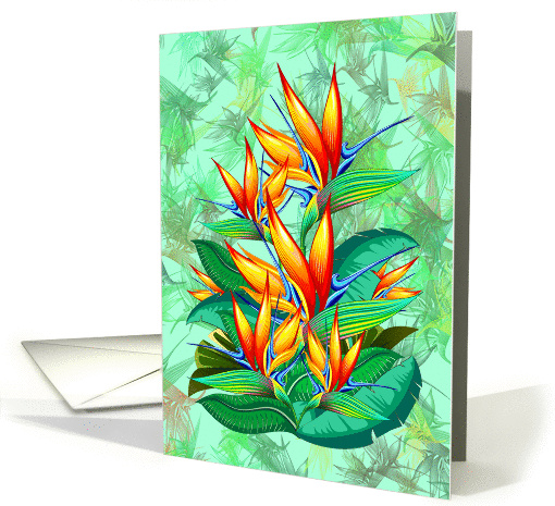 Bird of Paradise Flower Exotic Nature card (1463232)