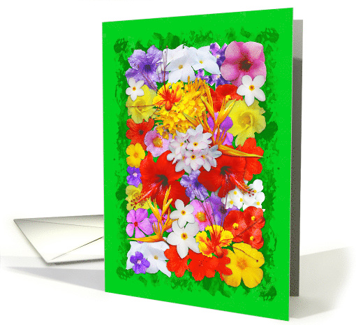 Exotic Flowers Colorful Explosion card (1465374)