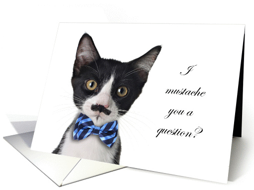Prom? Cat with Mustache Question card (1185080)