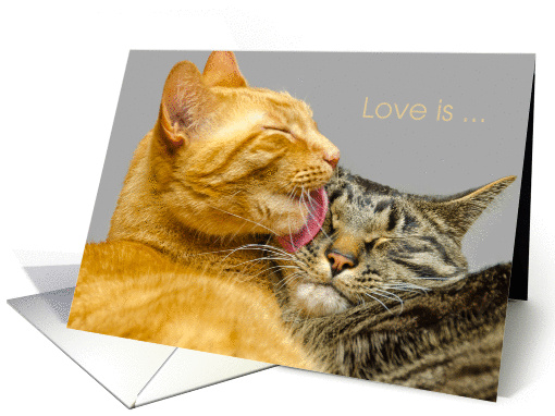 Kitty Love Affection card (1191582)