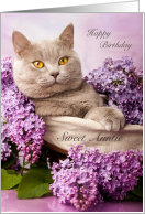 Sweet Auntie Birthday Grey Cat with Lilac Flowers card