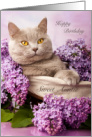 Sweet Auntie Birthday Grey Cat with Lilac Flowers card