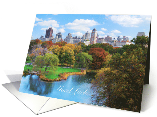 Good Luck Big Apple New York City Running card (1224218)