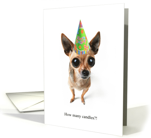 How Many Candles? Worried Chihuahua Birthday Hat Humor card (1235692)