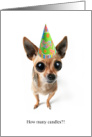 How Many Candles? Worried Chihuahua Birthday Hat Humor card