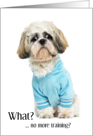 Shih Tzu Dog Blue Shirt Trainer Thank You card