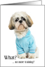 Shih Tzu Dog Blue Shirt Trainer Thank You card