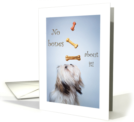 No Bones About it Shih Tzu Dog Trainer Thank You card (1240154)