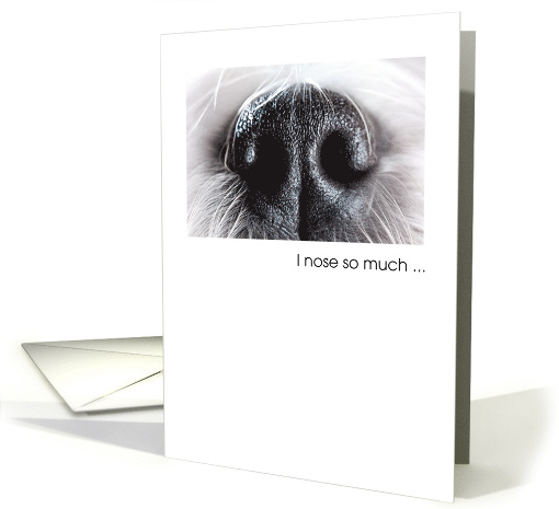 I Know So Much Dog Nose Trainer Thank You card (1240160)