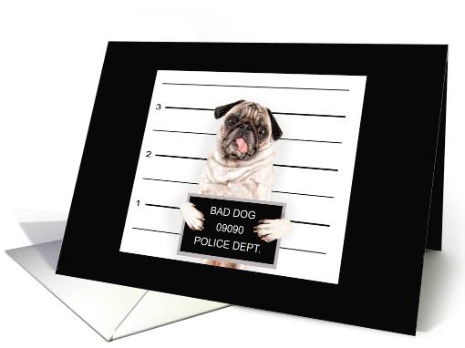 Pug Mug Shot Premature Training Thank You card (1240250)