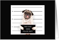 Pug Mug Shot Premature Training Thank You card