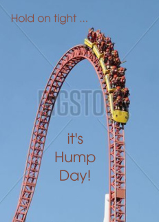 Hold on Hump Day Rollercoaster Downhill