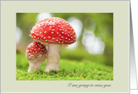 Miss you Parent to Child Going Away to College Sheltering Mushroom card