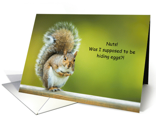 Grey Squirrel Easter Nuts or Eggs Confusion card (1252450)