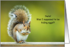 Grey Squirrel Easter Nuts or Eggs Confusion card