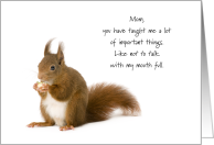 Mom Red Squirrel Good Manners Mother’s Day card