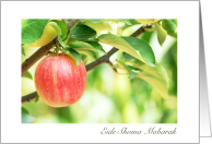 Persian New Year Eide Shoma Mobarak Hanging Apple card