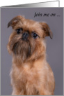 No Shave November Brussels Griffon Dog Mustache Awareness Day card