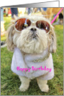 Dressed up Glamor Pooch Shih Tzu Dog Birthday card