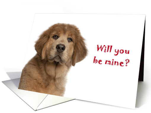 tibetan mastiff Be mine Valentine card (1289476)