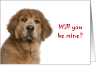 tibetan mastiff Be mine Valentine card