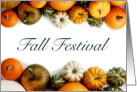 Fall Festival Harvest Pumpkins & Gourds Invitation card