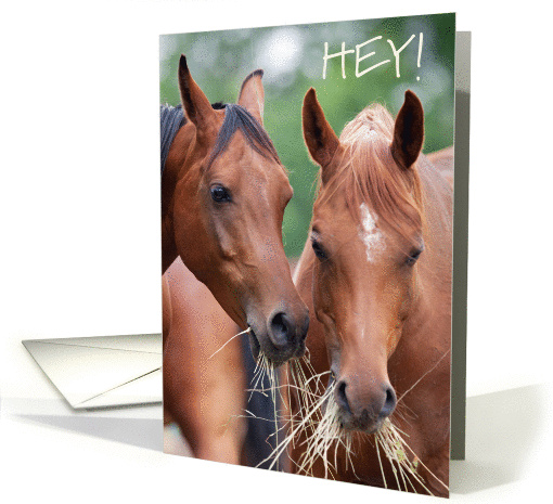 Hey Arabian Horses Good Friends Bad Manners Gossip card (1302856)